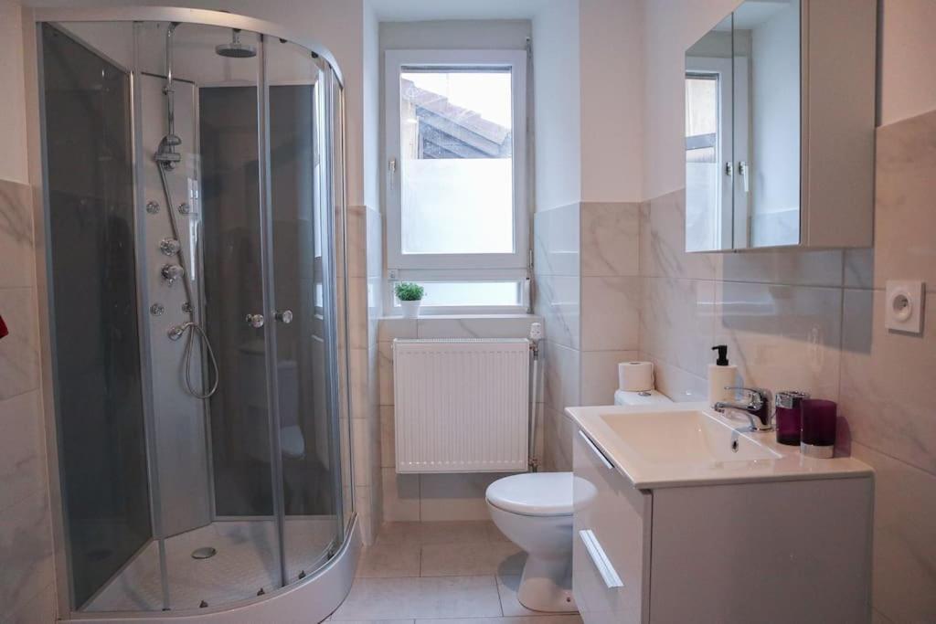 Appartement Entier, Proche Tram-Train Et Commodites, Parking Gratuit Mulhouse Exterior foto