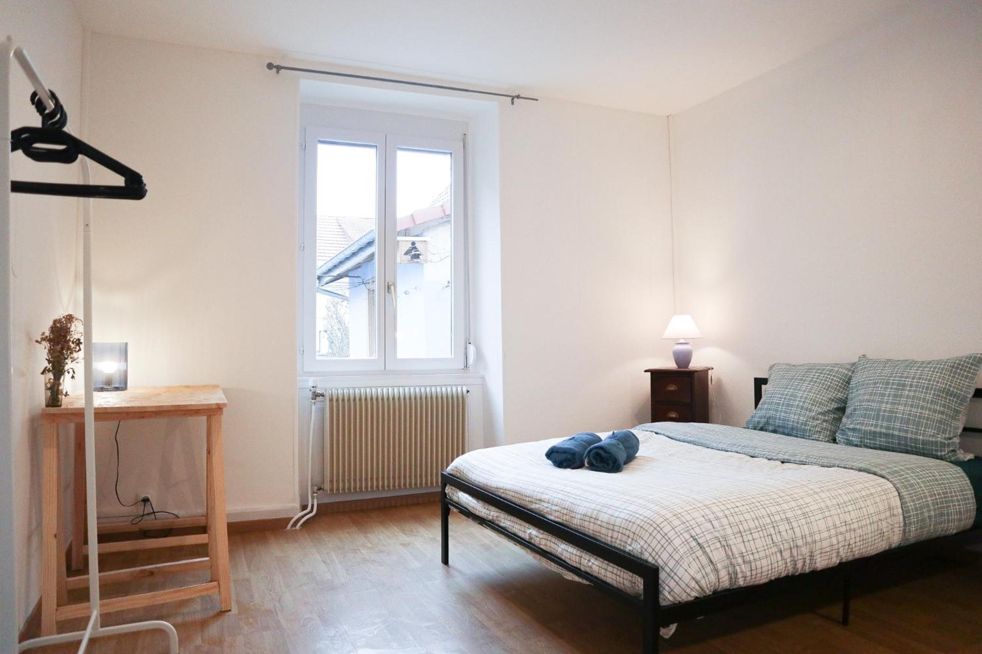 Appartement Entier, Proche Tram-Train Et Commodites, Parking Gratuit Mulhouse Exterior foto